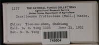 Image Associated With the Occurence